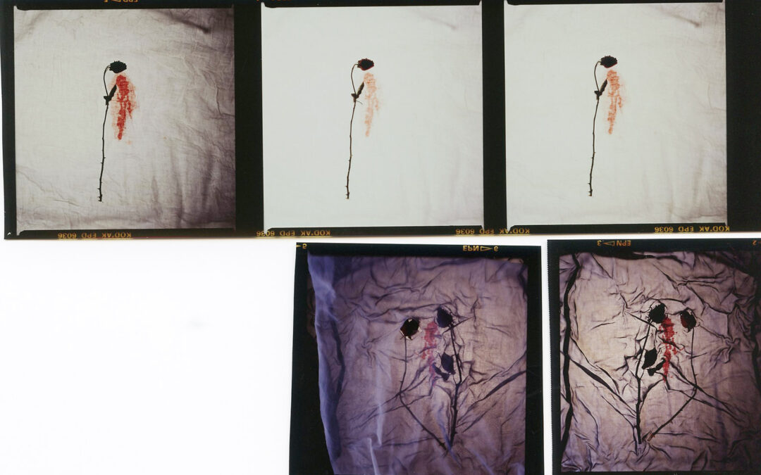 What Film Taught Me That Digital Never Could