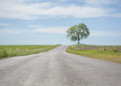 A quiet rural road curving through open land towards a single tree beneath a wide sky.