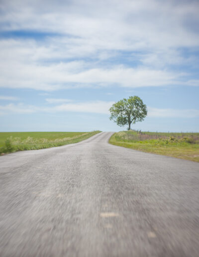 A quiet rural road curving through open land towards a single tree beneath a wide sky.