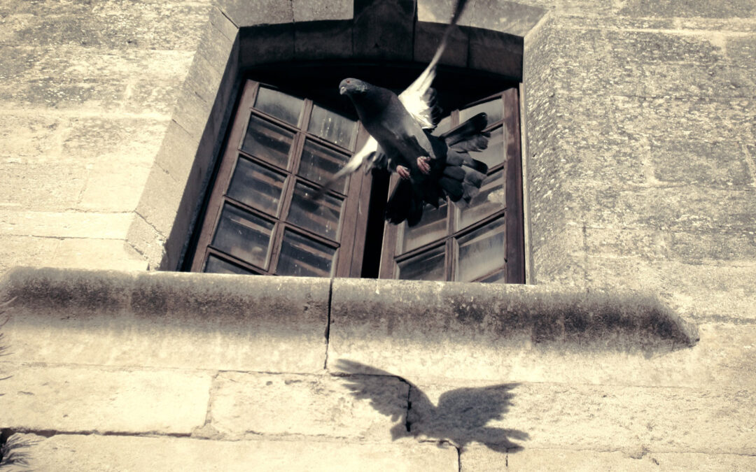 Technique Is Not the Point (But It Matters)