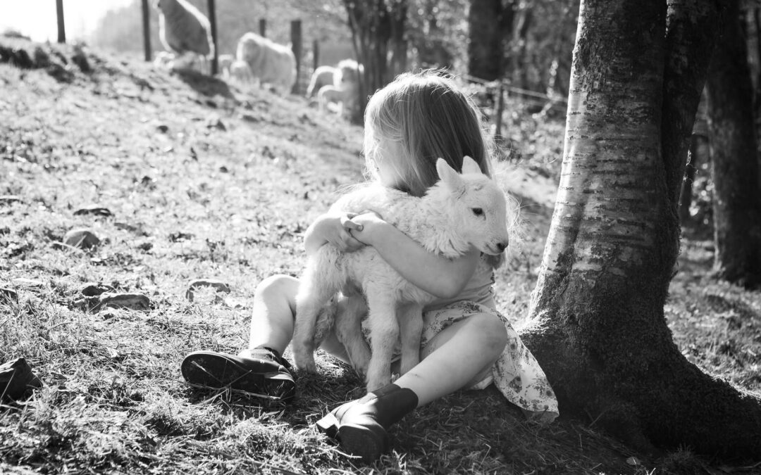 Young child sitting beneath a tree holding a lamb in a quiet rural setting