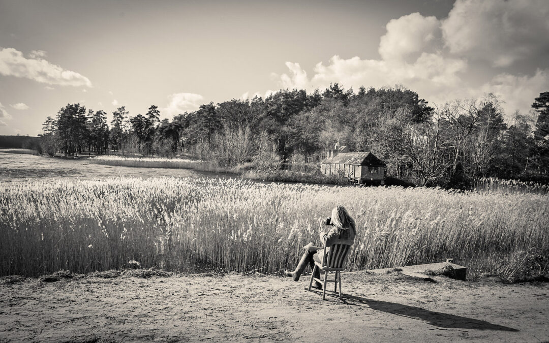 Why I’m Still Here