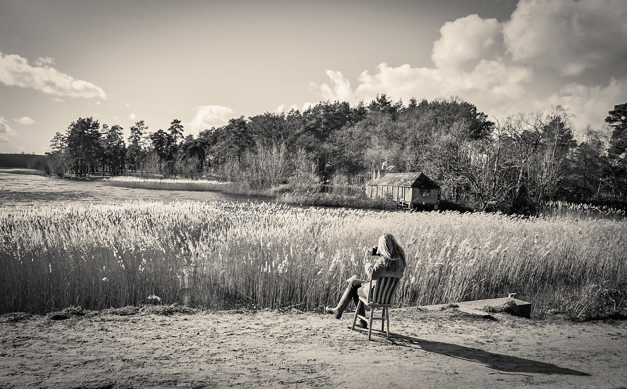 A woman seated on a wooden chair by a reed-filled lake, quietly photographing the landscape before her.